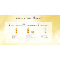 Hada Labo Gokujyun Premium Hyaluronic Lotion Refill 170ml – Deep Hydration Toner | BodegaJP