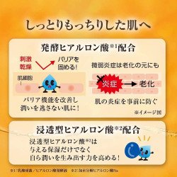 HADA LABO Gokujyun Premium Hyaluronic Solution – 170ml | Deep Hydration Toner