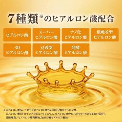 HADA LABO Gokujyun Premium Hyaluronic Solution – 170ml | Deep Hydration Toner