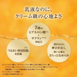 Hada Labo Gokujyun Premium Hyaluronic Lotion & Milk Set | Deep Hydration Duo