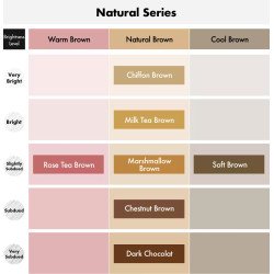 Kao Liese Creamy Bubble Hair Color Sugar Pink – Easy At-Home Foam Dye